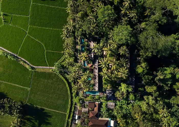 Padi Villa *