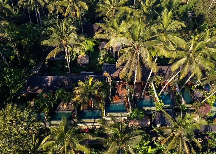 Padi * Ubud (Bali)