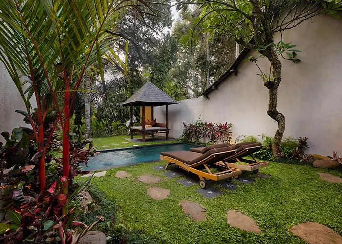 Padi Ubud (Bali)