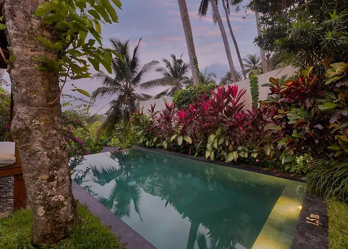 Padi Villa *