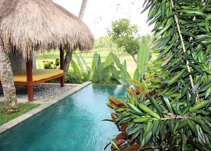 Padi Villa