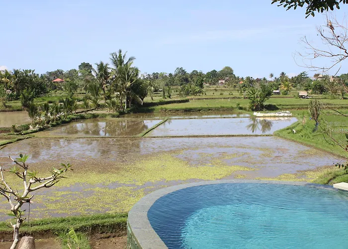 Villa Padi