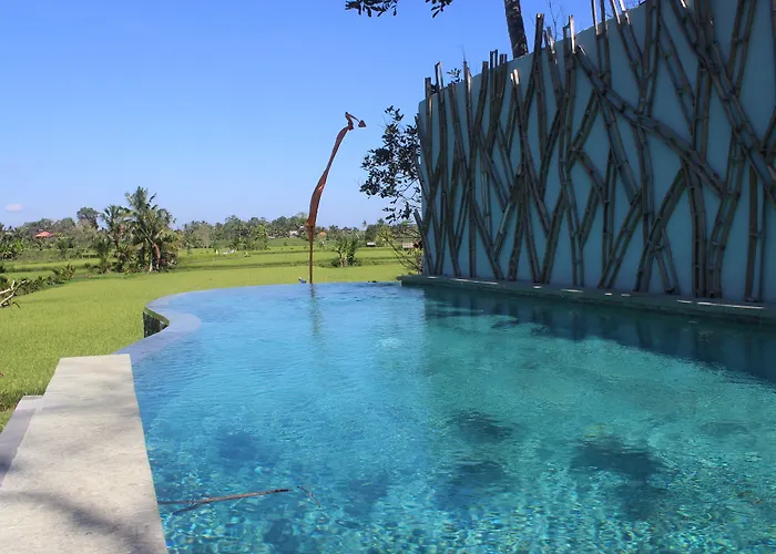Padi Ubud (Bali)