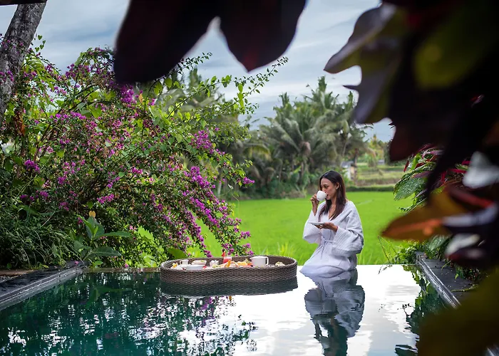 Padi Ubud